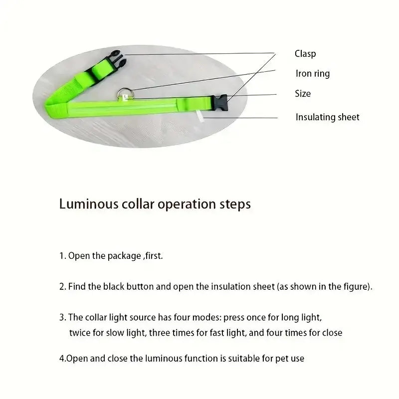 Nylon LED Night Safety Flashing Glow In The Dark Dog Leash