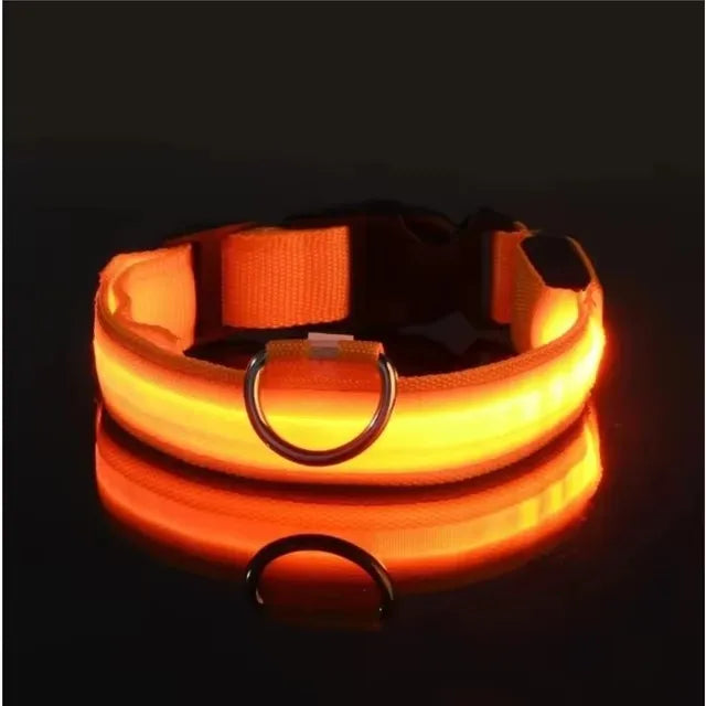 Nylon LED Night Safety Flashing Glow In The Dark Dog Leash