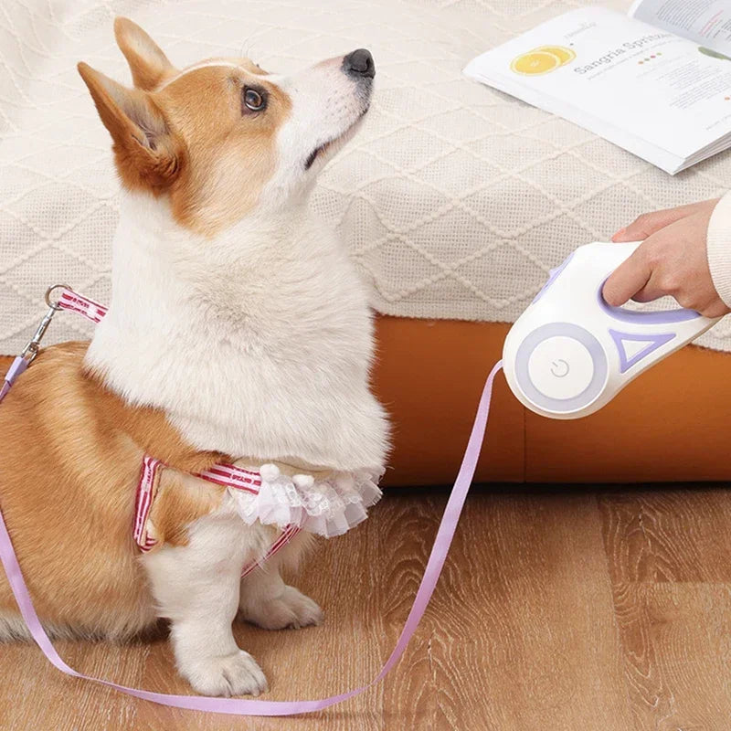 LED Luminous Dog Leash Automatic Retractable Leash for Medium