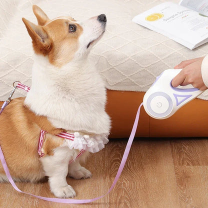 LED Luminous Dog Leash Automatic Retractable Leash for Medium