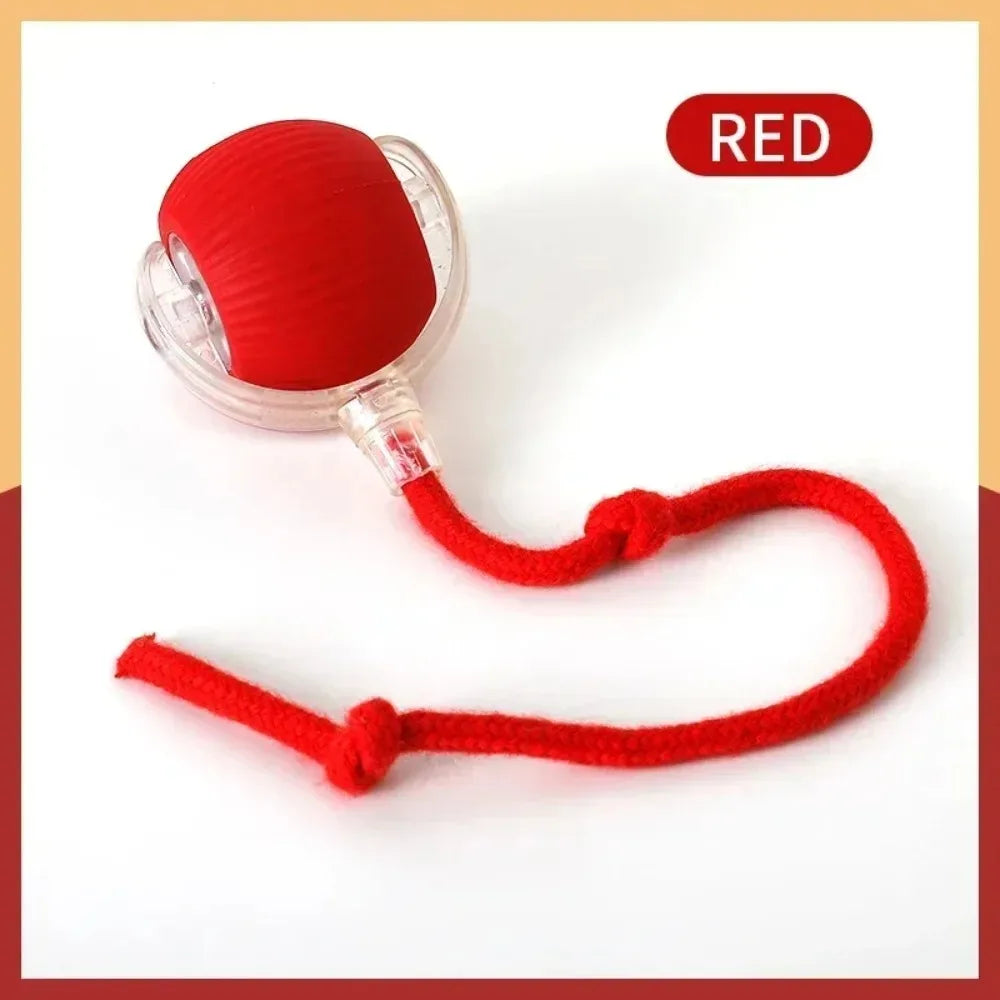 New Cat Interactive Ball Toy Automatic Rolling Ball Faux Tail