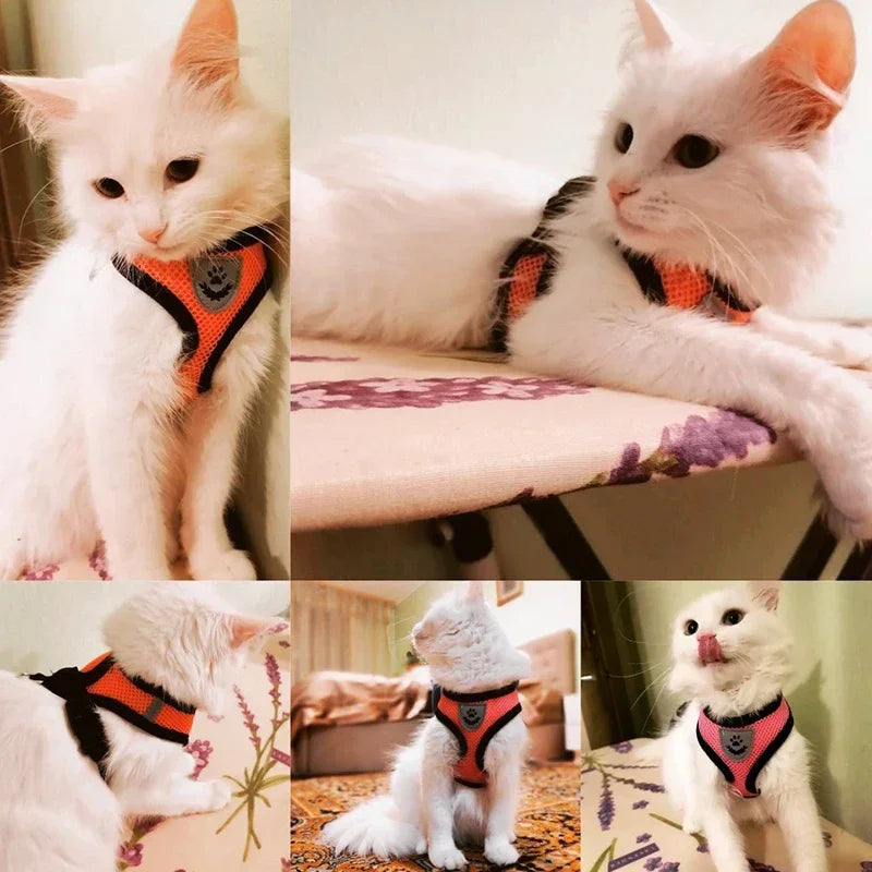 Cat Harness Vest Walking Lead Leash For Puppy Dogs