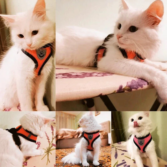 Cat Harness Vest Walking Lead Leash For Puppy Dogs