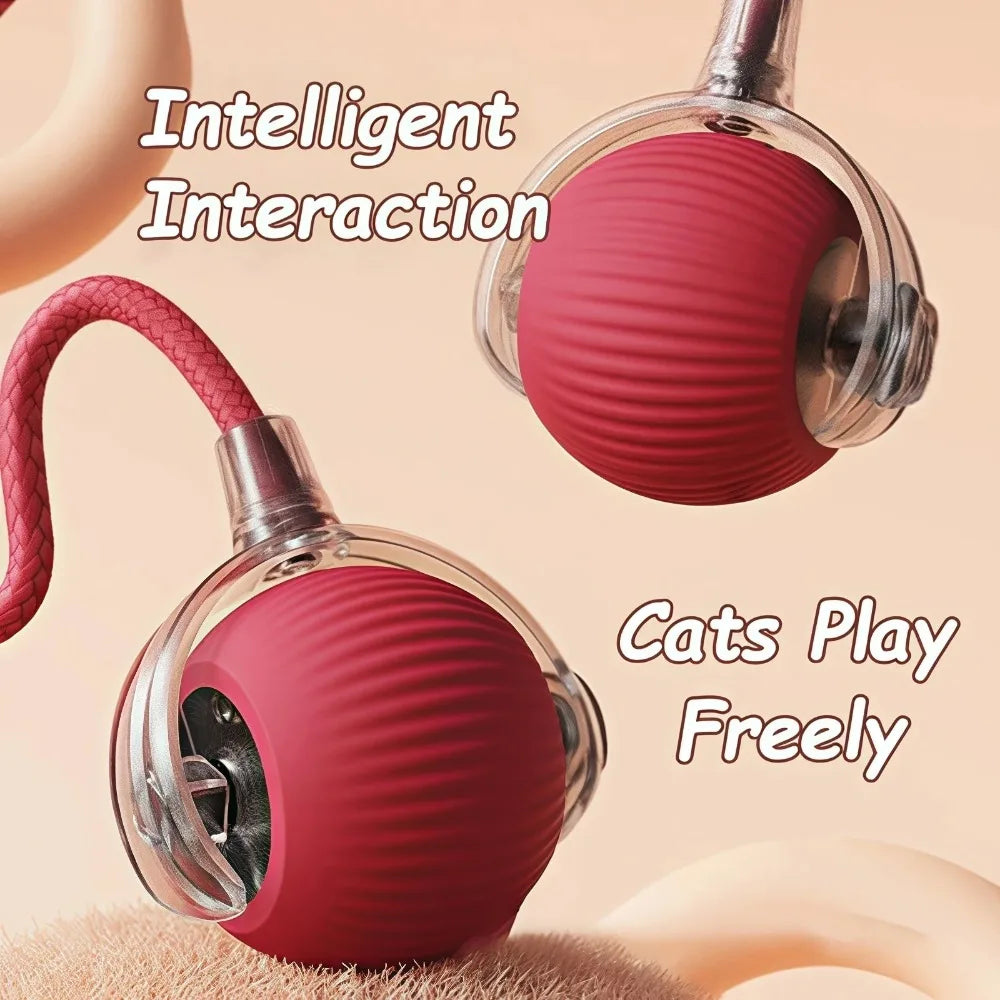 New Cat Interactive Ball Toy Automatic Rolling Ball Faux Tail