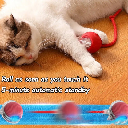 New Cat Interactive Ball Toy Automatic Rolling Ball Faux Tail