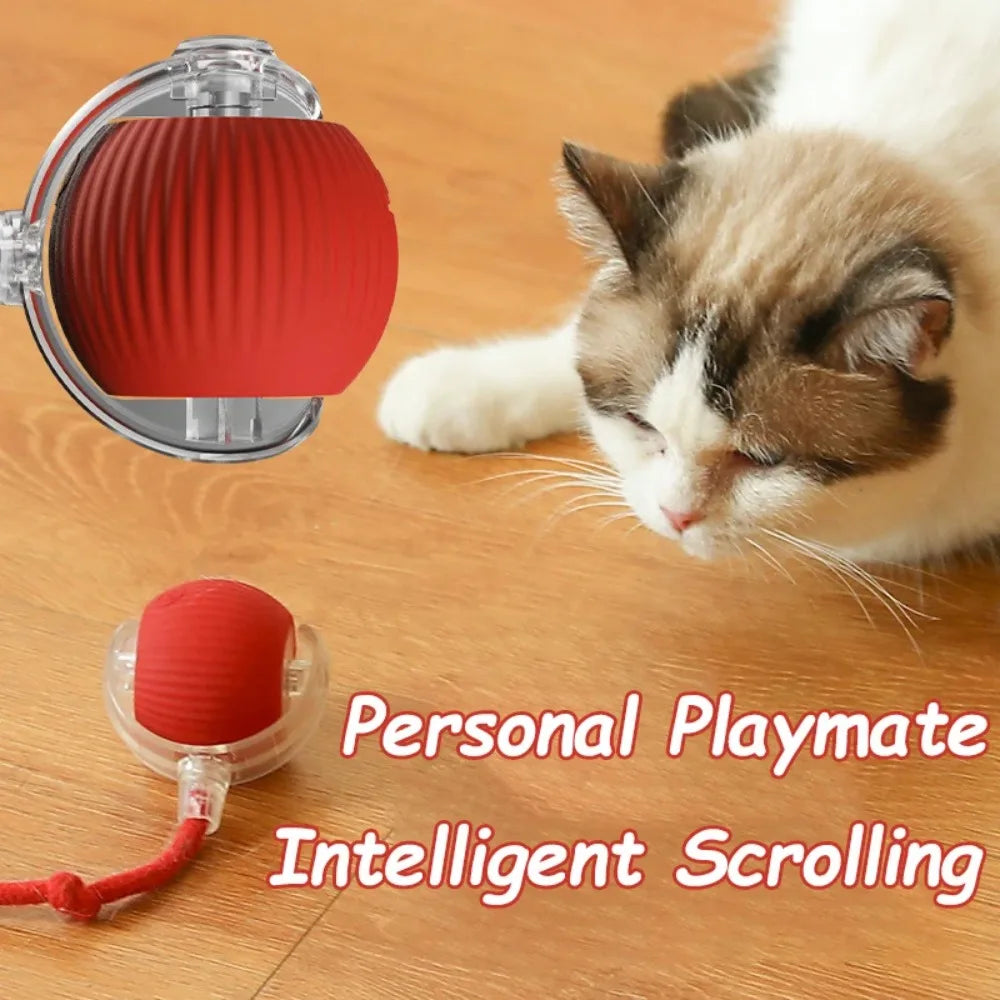 New Cat Interactive Ball Toy Automatic Rolling Ball Faux Tail